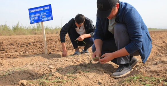 Yoshlarga yer ajratish orqali ularning bandligi ta’minlanmoqda