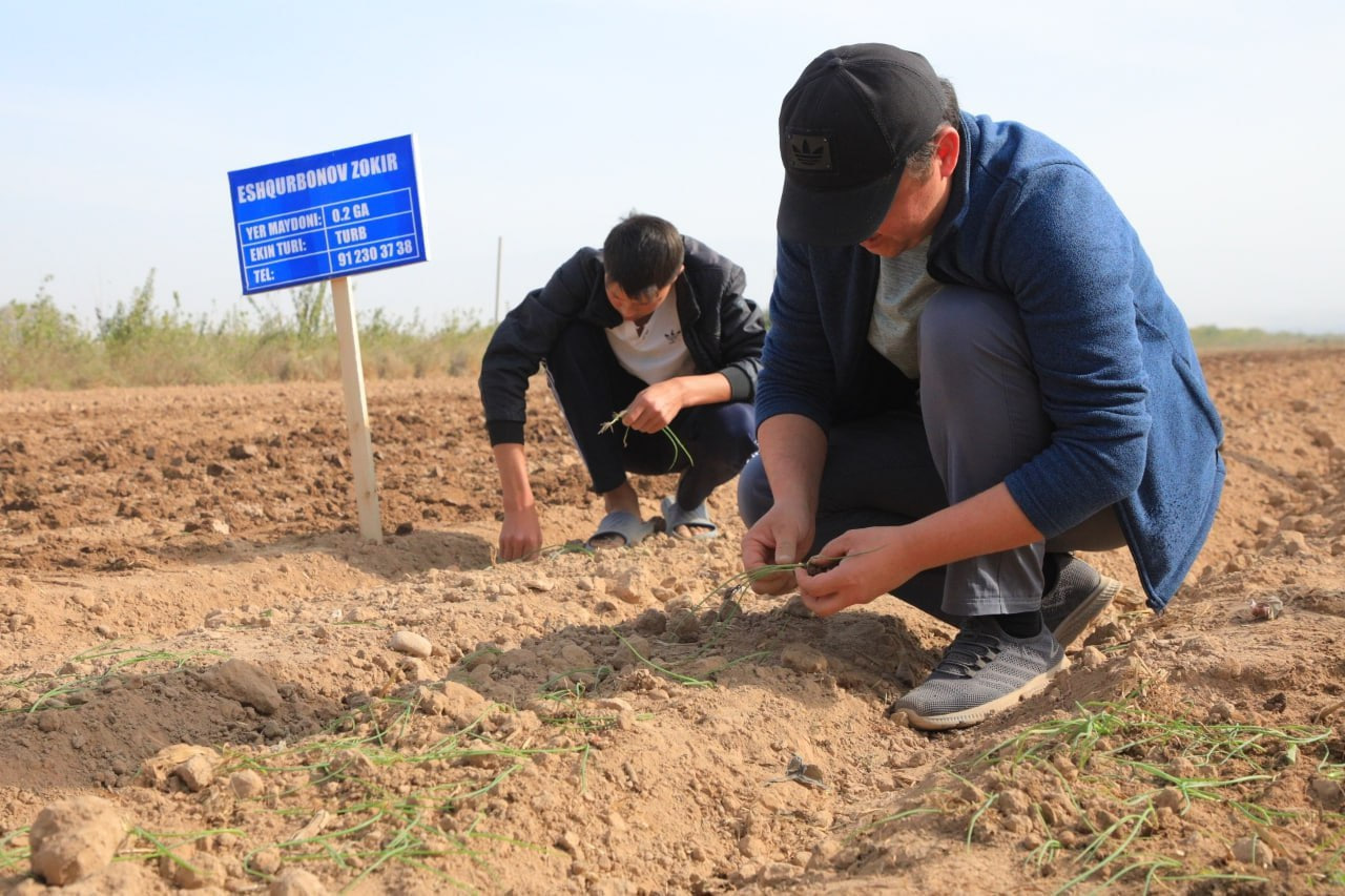 Yoshlarga yer ajratish orqali ularning bandligi ta’minlanmoqda